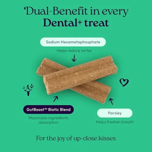 WellJoy Dental Dog Treat + Teeth Cleaning, Parsley, GutBoost, 24ct | Supports Oral & Digestive Wellness thumbnail 2
