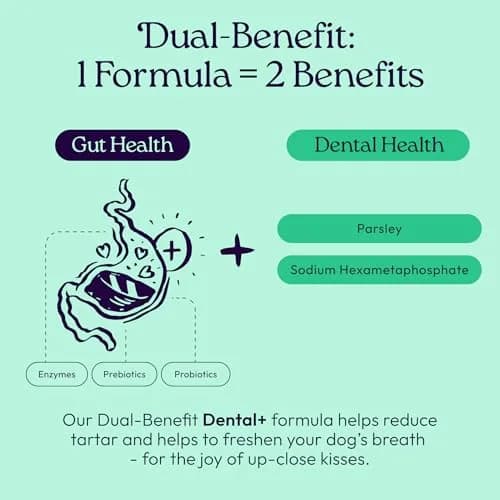 WellJoy Dental Dog Treat + Teeth Cleaning, Parsley, GutBoost, 24ct | Supports Oral & Digestive Wellness thumbnail 3