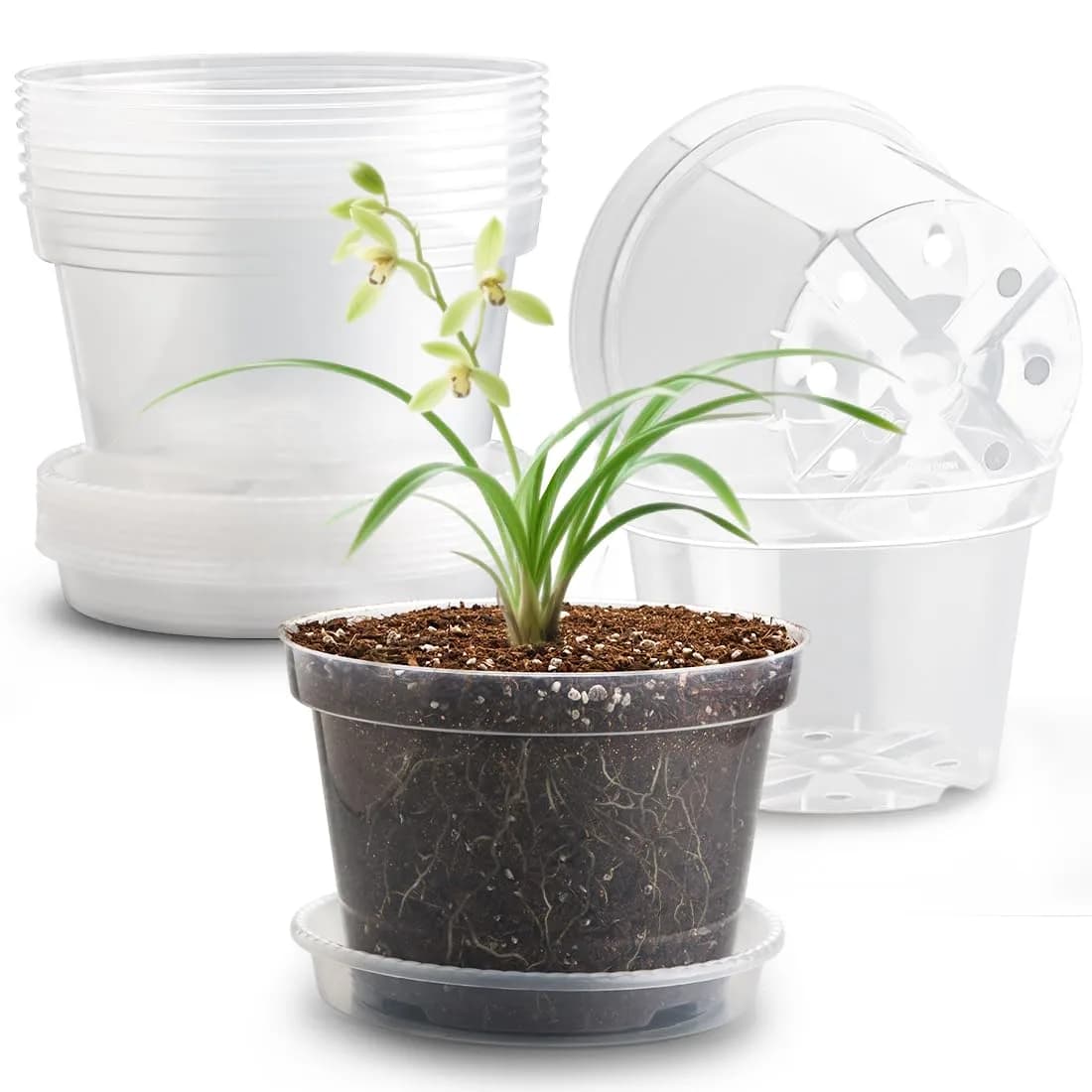 RooTrimmer Clear 8 Inch Plant Pots with Saucers (12 Pack) | Transparent Plastic Nursery Pots with Drainage Hole