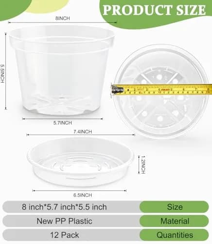 RooTrimmer Clear 8 Inch Plant Pots with Saucers (12 Pack) | Transparent Plastic Nursery Pots with Drainage Hole thumbnail 2