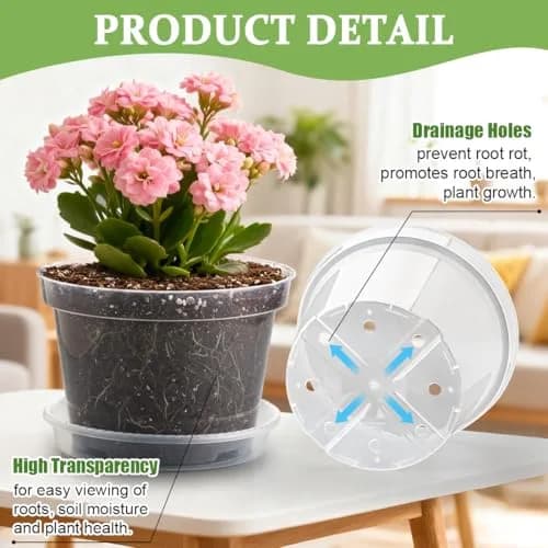 RooTrimmer Clear 8 Inch Plant Pots with Saucers (12 Pack) | Transparent Plastic Nursery Pots with Drainage Hole thumbnail 3