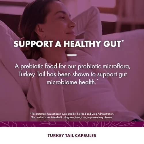 Host Defense Turkey Tail Capsules 240 Count (120 Ct Each) | Immune & Digestive Support thumbnail 5