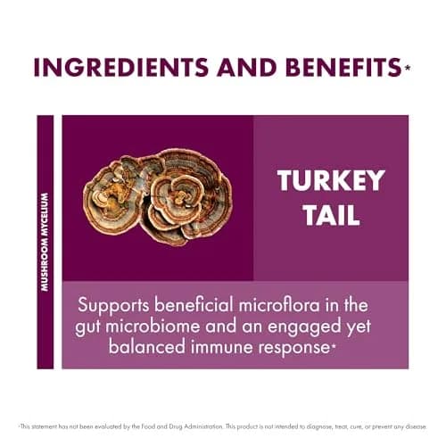 Host Defense Turkey Tail Capsules 240 Count (120 Ct Each) | Immune & Digestive Support thumbnail 6