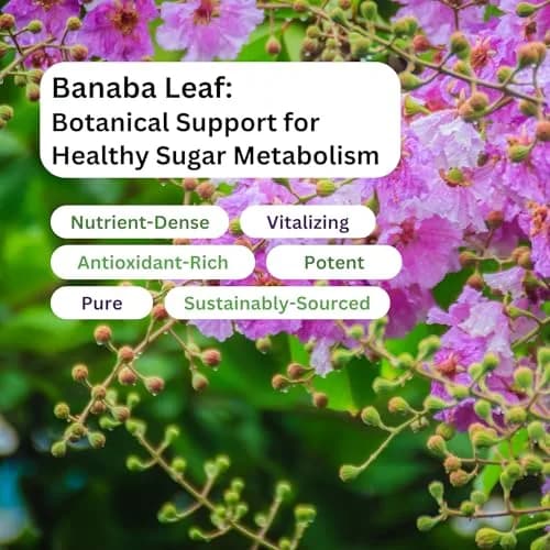 Paradise Herbs Banaba Leaf 12:1 Extract 250 mg | Vegan, Gluten-Free, Non-GMO Capsules thumbnail 5