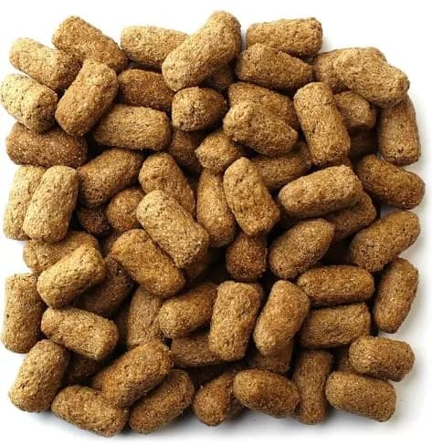 Mazuri Tortoise Diet 20 Ounce (20 OZ) Bag (Pack of 2) | Complete Nutrition for Tropical & Forest Tortoises thumbnail 5
