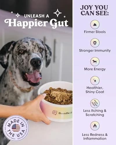 Bundle x Joy Probiotic Powder for Dogs 6 Billion CFU | Gut & Immune Support in USA (70-120 chars) thumbnail 4