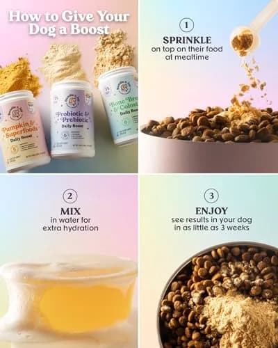Bundle x Joy Probiotic Powder for Dogs 6 Billion CFU | Gut & Immune Support in USA (70-120 chars) thumbnail 5