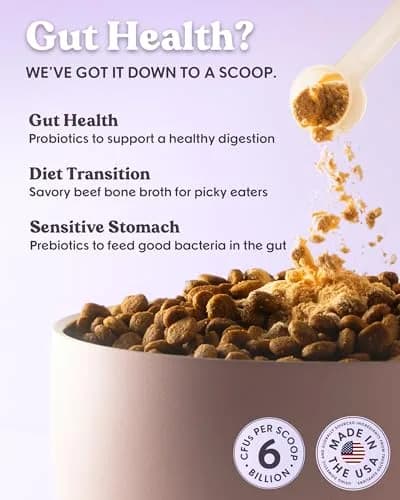 Bundle x Joy Probiotic Powder for Dogs 6 Billion CFU | Gut & Immune Support in USA (70-120 chars) thumbnail 2