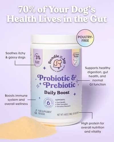 Bundle x Joy Probiotic Powder for Dogs 6 Billion CFU | Gut & Immune Support in USA (70-120 chars) thumbnail 3