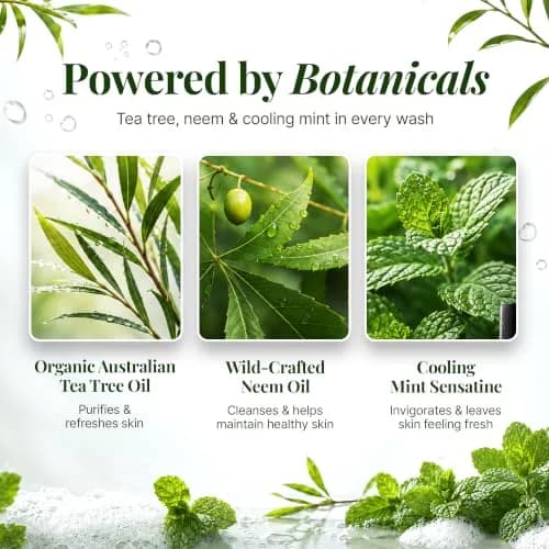 Oleavine TheraTree Tea Tree Oil Body Wash & Foot Wash - Mint - Natural Cleansing Gel for Daily Skin & Body Care - Soothing & Refreshing Formula for Men & Women, 12 Fl Oz (2 Pack) thumbnail 3