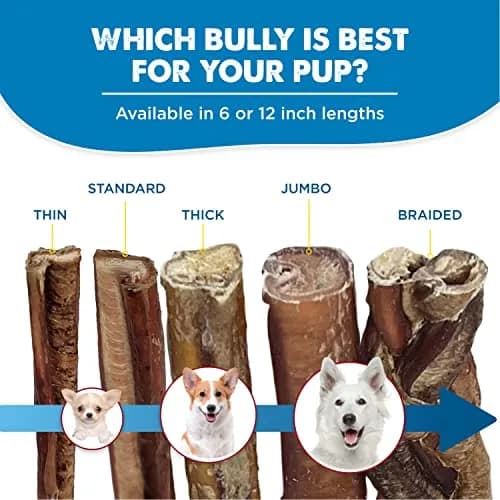 Best Bully Sticks Braided Bully Sticks Dog Chews, 12" | Natural, Long-Lasting Protein Treat thumbnail 5