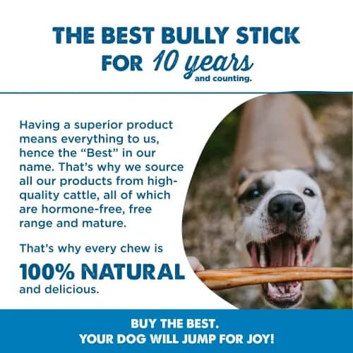Best Bully Sticks Braided Bully Sticks Dog Chews, 12" | Natural, Long-Lasting Protein Treat thumbnail 6