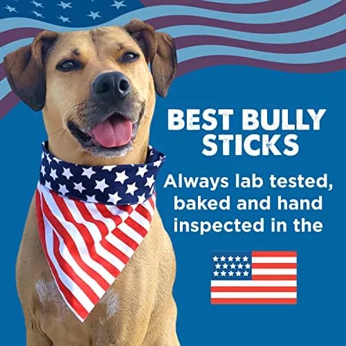 Best Bully Sticks 50 Count 12 Inch Dog Chews | Natural, Grass-Fed Beef, Grain-Free (70-120 chars) thumbnail 9