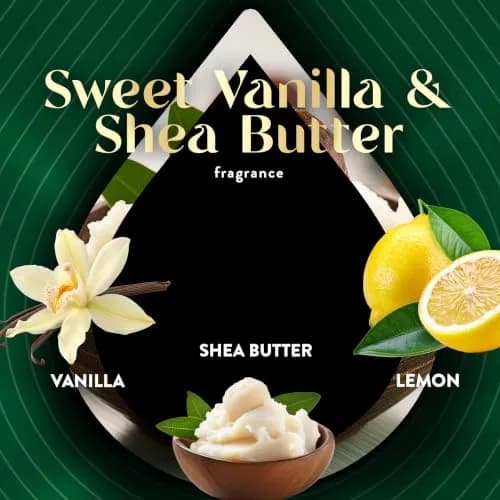 Air Wick Vibrant Plug In Scented Oil Refills Sweet Vanilla & Shea Butter 2.69ml (0.67 Fl Oz) 4-Pack | Infused with 2x More Essential Oils thumbnail 5