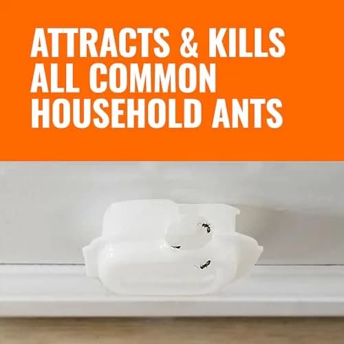 TERRO Indoor Liquid Ant Baits with Adhesive Strips for Discreet Baiting - 20 Count | Kills Visible Ants and Hidden Colonies thumbnail 8