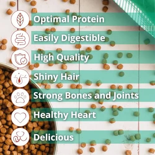 The Green Dog Vegan Dog Food 6.6 lb | Plant-Based Complete Nutrition for Adult Dogs thumbnail 5