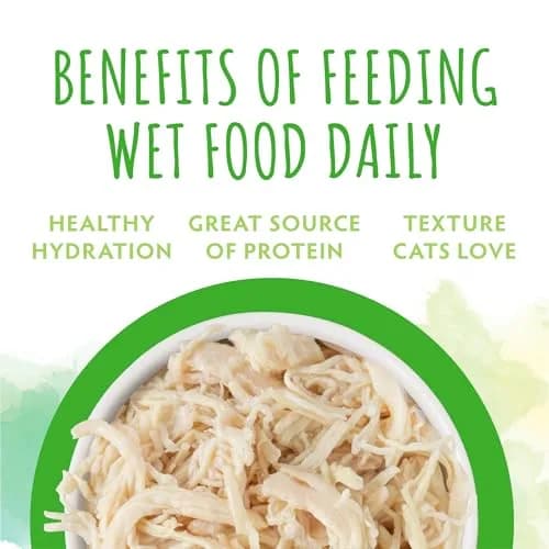 Soulistic Originals Wet Cat Food Good Karma Chicken Dinner in Gravy 3oz Can Pack of 12 | Balanced, Natural Nourishment thumbnail 5