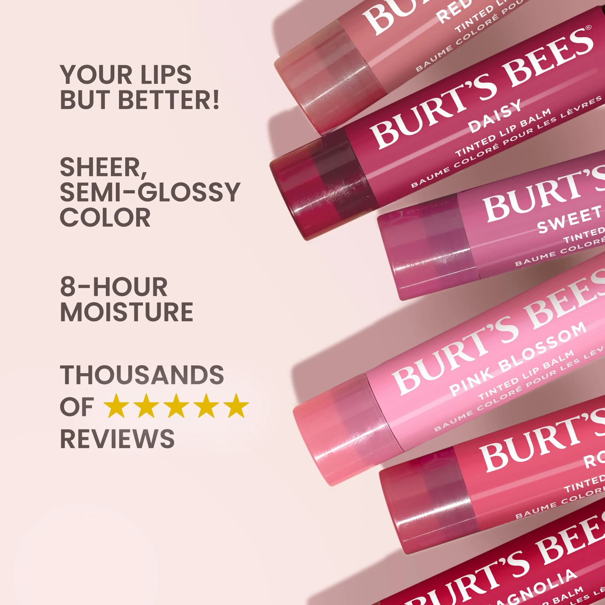 Burt's Bees Tinted Lip Balm Rose 2.4oz (68g) | Natural Color Infused with Shea Butter - view 3