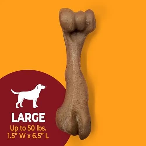 Nylabone Strong Chew Femur Bone Dog Toy with Real Bison & Venison Flavor, Large 4.5" (11.4 cm) thumbnail 4