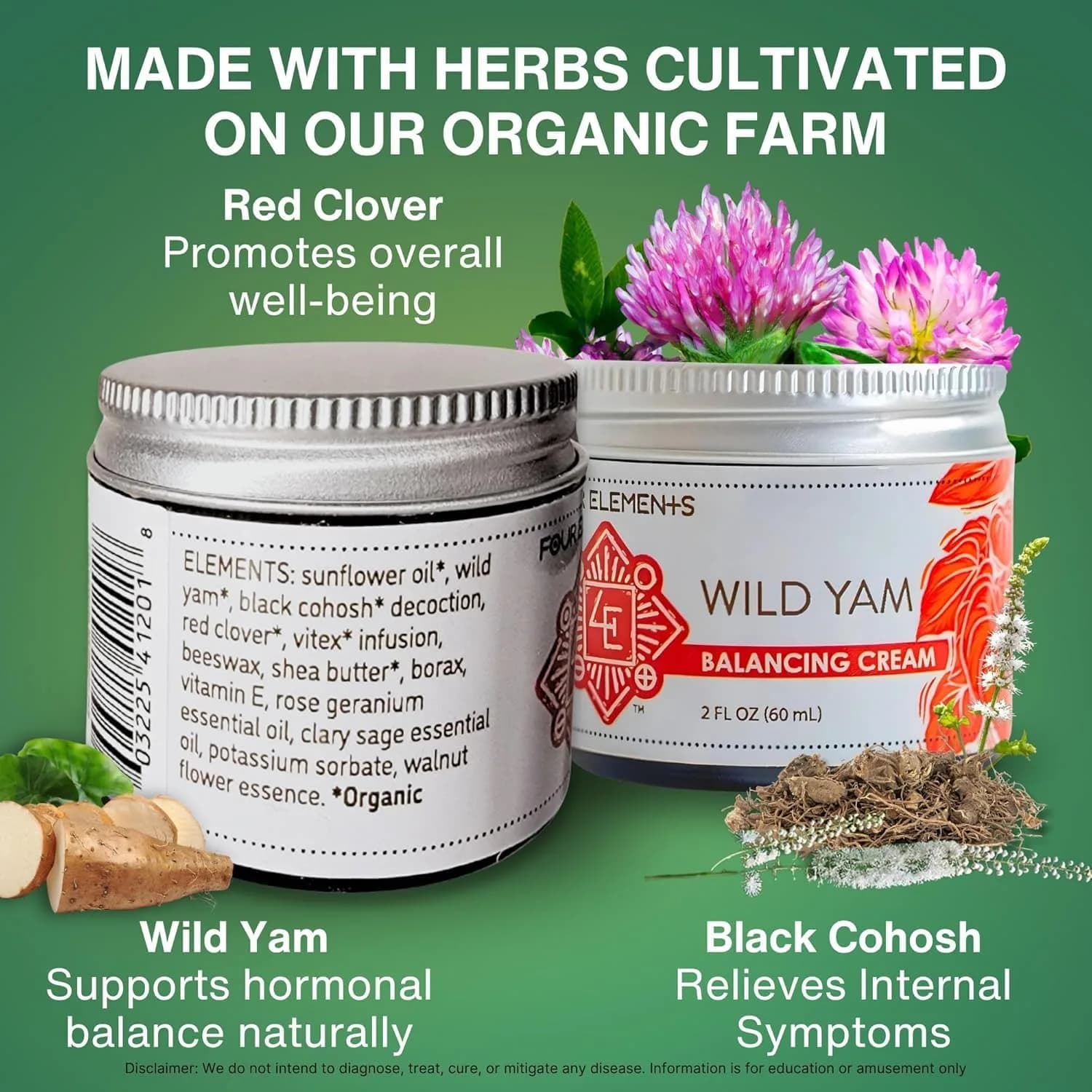 Four Elements 4E Wild Yam Balancing Cream 4 oz (2 x 2 oz) | Award-Winning Herbal Cream with Yam Root, Black Cohosh, Red Clover - view 2