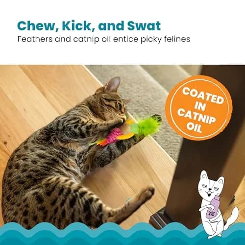 Catstages Dental Pineapple Teether Cat Toy | Textured Mesh & Catnip Oil Infused for Teething Relief thumbnail 4