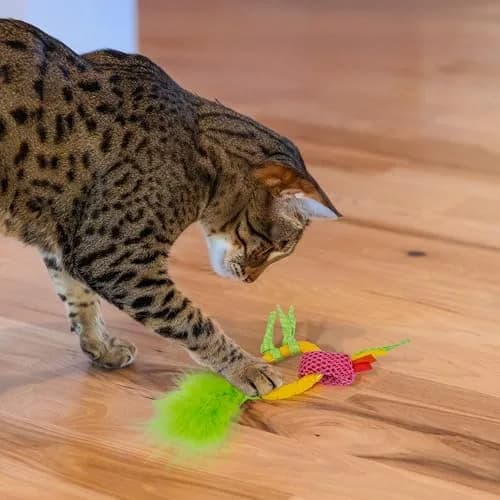 Catstages Dental Pineapple Teether Cat Toy | Textured Mesh & Catnip Oil Infused for Teething Relief thumbnail 6