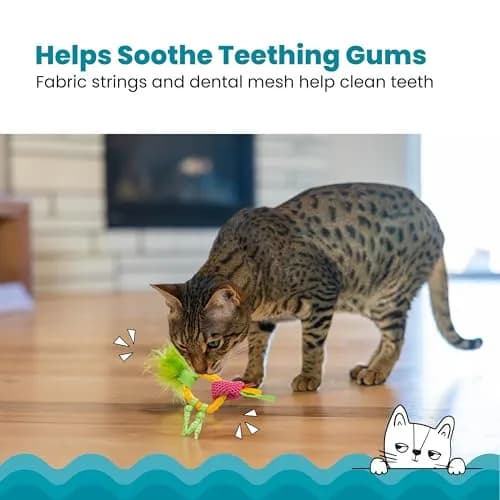 Catstages Dental Pineapple Teether Cat Toy | Textured Mesh & Catnip Oil Infused for Teething Relief thumbnail 2