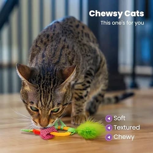 Catstages Dental Pineapple Teether Cat Toy | Textured Mesh & Catnip Oil Infused for Teething Relief thumbnail 3