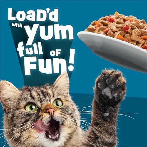 Friskies Fully Load'd Wet Cat Food Chicken 24 Count | Chunky in Savory Gravy for Adult Cats thumbnail 5