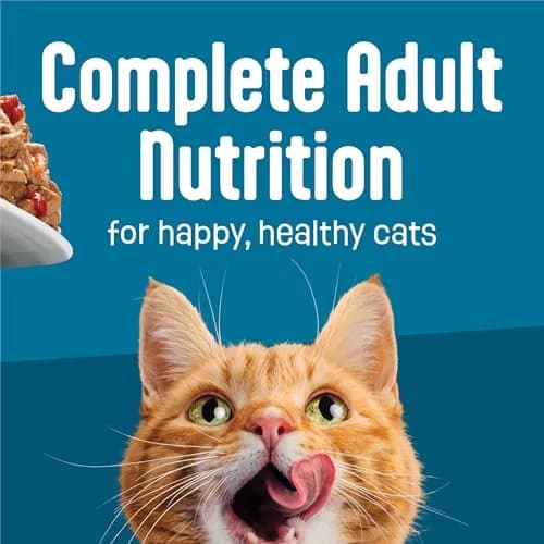 Friskies Fully Load'd Wet Cat Food Chicken 24 Count | Chunky in Savory Gravy for Adult Cats thumbnail 8