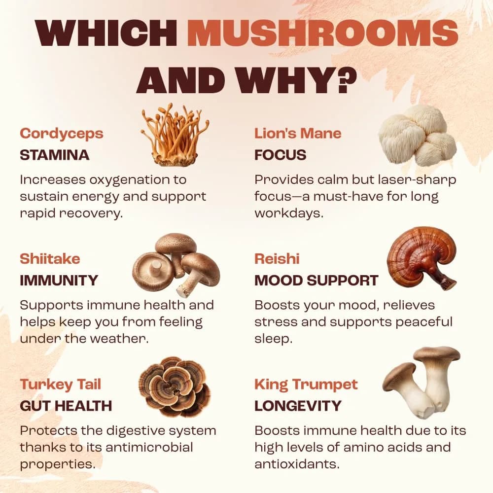 RYZE Organic Mushroom Coffee Starter Kit Medium Roast 12.7 oz (360 g) | 6 Adaptogenic Mushrooms for Energy & Focus - view 5