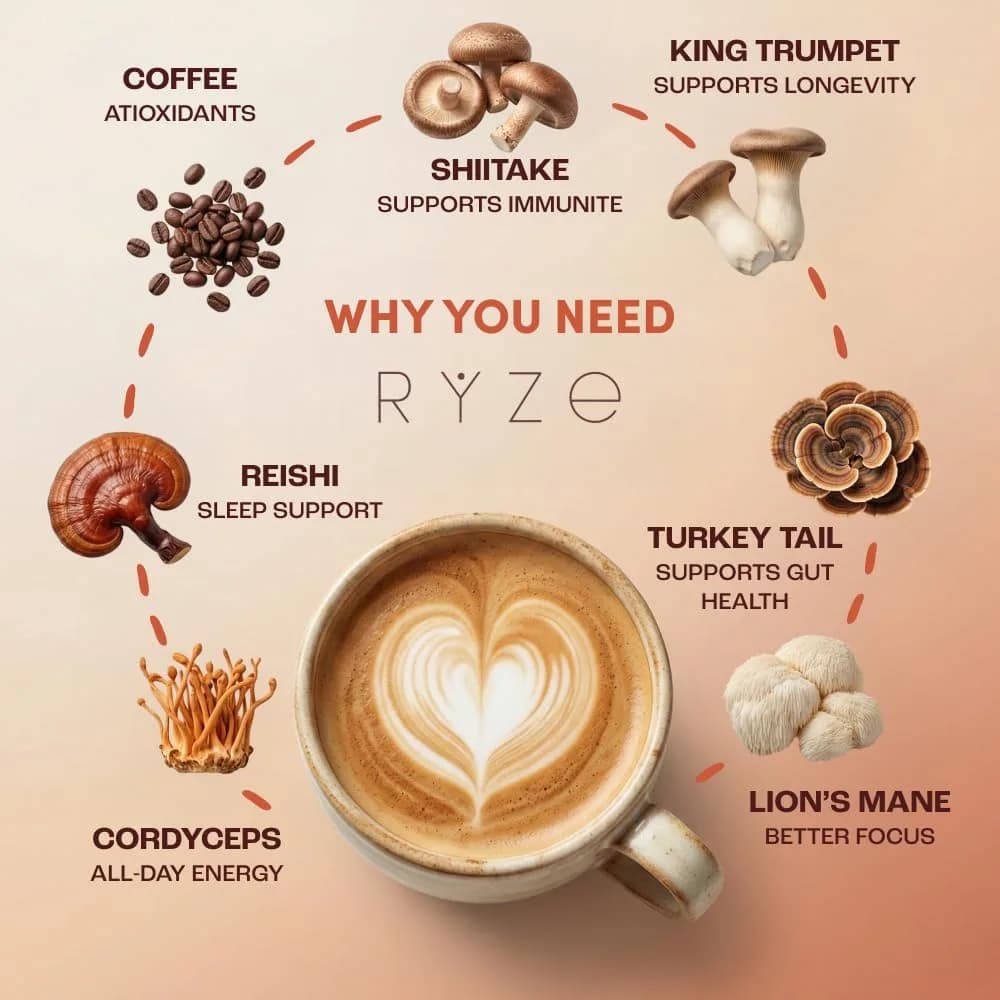 RYZE Organic Mushroom Coffee Starter Kit Medium Roast 12.7 oz (360 g) | 6 Adaptogenic Mushrooms for Energy & Focus - view 3