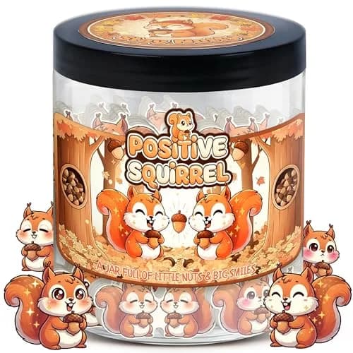 DEARMINE Positive Squirrel Jar with 60 Daily Affirmation Cards | Cute Squirrel Christmas Decor - main product image