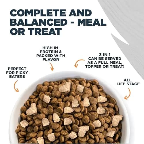 Blackwood Dog Food Topper, Chicken Recipe, 8 Ounce | High Protein with Glucosamine, Versatile & Natural thumbnail 4
