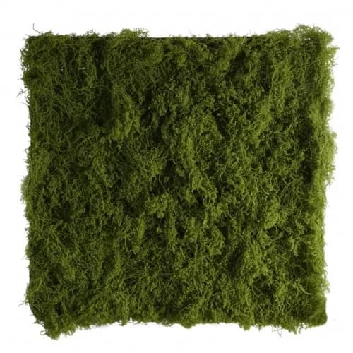 BYHER Artificial Moss Mat 50x50cm (19.7"x19.7") | Realistic Green Crafting Base for Fairy Gardens & Events thumbnail 1