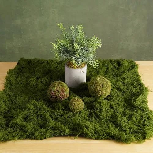 BYHER Artificial Moss Mat 50x50cm (19.7"x19.7") | Realistic Green Crafting Base for Fairy Gardens & Events thumbnail 3