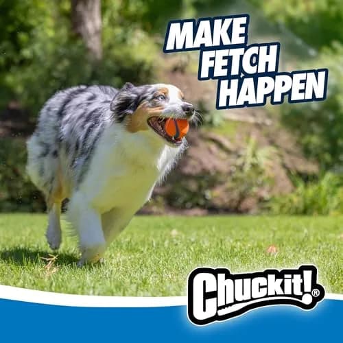 Chuckit! Ultra Ball Dog Toy - Medium 2.5-inch Rubber Fetch Ball | 3-Pack, Floating, High Bounce thumbnail 2