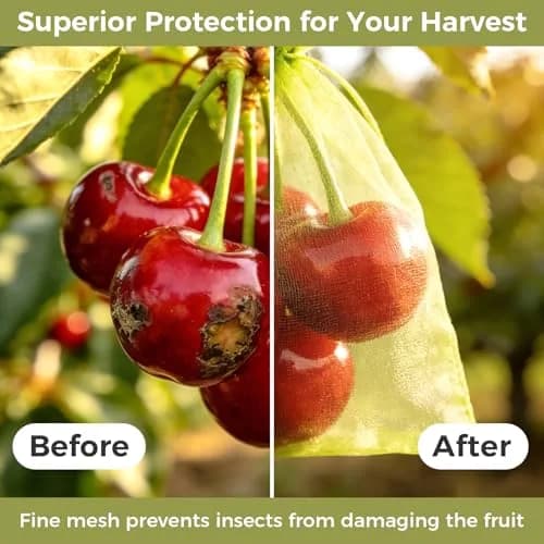 Sukh Fruit Protection Bags 4"x6" | Mesh Organza Fruit Cover for Tomatoes & Grapes, Reusable thumbnail 4
