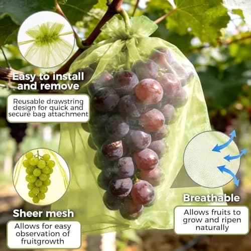 Sukh Fruit Protection Bags 8"x12" | Reusable Mesh Organza Bags for Fruits & Vegetables thumbnail 4