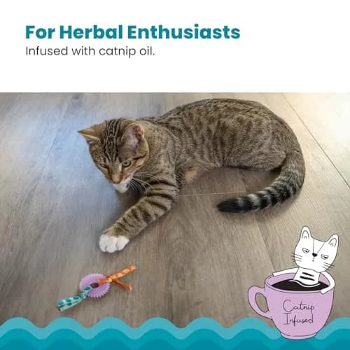 Catstages Kitty Chew Wheel Dental Cat Toy 2-Pack | Infused with Catnip Oil for Healthy Chewing thumbnail 4