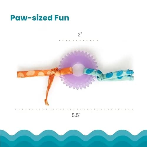 Catstages Kitty Chew Wheel Dental Cat Toy 2-Pack | Infused with Catnip Oil for Healthy Chewing thumbnail 5