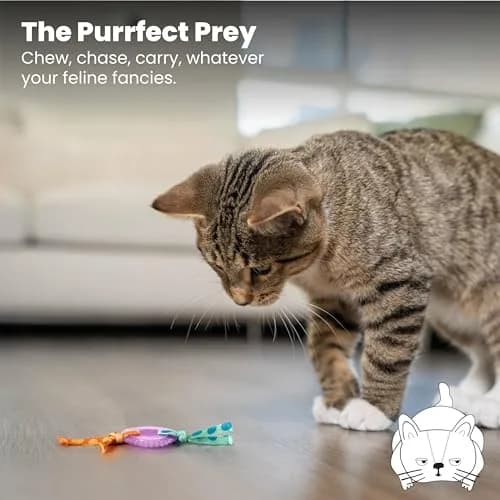 Catstages Kitty Chew Wheel Dental Cat Toy 2-Pack | Infused with Catnip Oil for Healthy Chewing thumbnail 6