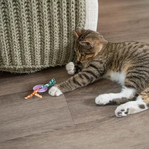 Catstages Kitty Chew Wheel Dental Cat Toy 2-Pack | Infused with Catnip Oil for Healthy Chewing thumbnail 7