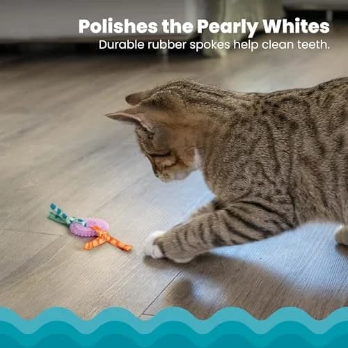 Catstages Kitty Chew Wheel Dental Cat Toy 2-Pack | Infused with Catnip Oil for Healthy Chewing thumbnail 3