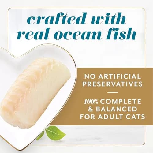 Fancy Feast Purina Gems Pate Mousse with Gravy Wet Cat Food 4 oz | Ocean Fish Flavor, Soft & Silky thumbnail 4