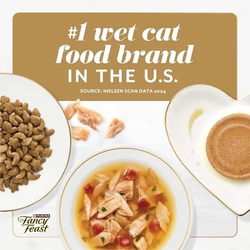 Fancy Feast Purina Gems Pate Mousse with Gravy Wet Cat Food 4 oz | Ocean Fish Flavor, Soft & Silky thumbnail 9