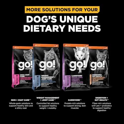 Go! Solutions Insect Protein Grain-Free Dry Cat Food 3 lb Bag | Supports Sensitive Stomach & Allergies thumbnail 5