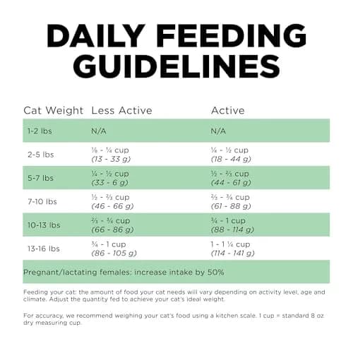 Go! Solutions Insect Protein Grain-Free Dry Cat Food 3 lb Bag | Supports Sensitive Stomach & Allergies thumbnail 6