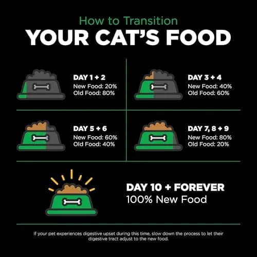 Go! Solutions Insect Protein Grain-Free Dry Cat Food 3 lb Bag | Supports Sensitive Stomach & Allergies thumbnail 7
