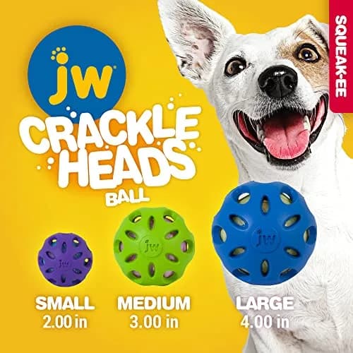 JW Petmate Crackle Heads Crackle Ball Crunchy Noise Chew Toy for Dogs Assorted Colors, Medium 3' Diameter | Durable & Safe Chew Toy thumbnail 6